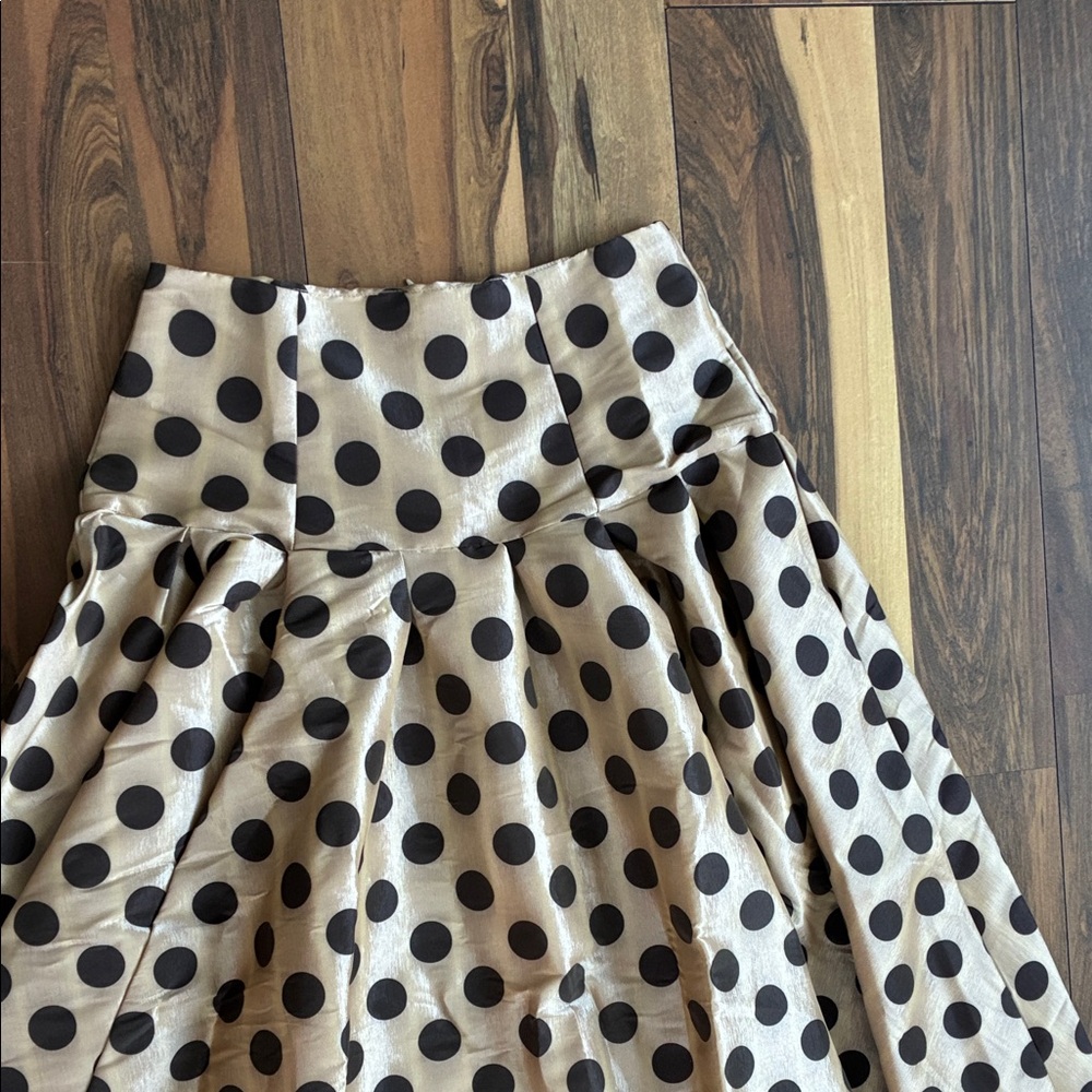 Shabby Apple Black Polka Dot A-Line Maxi Skirt - Picture 4 of 6